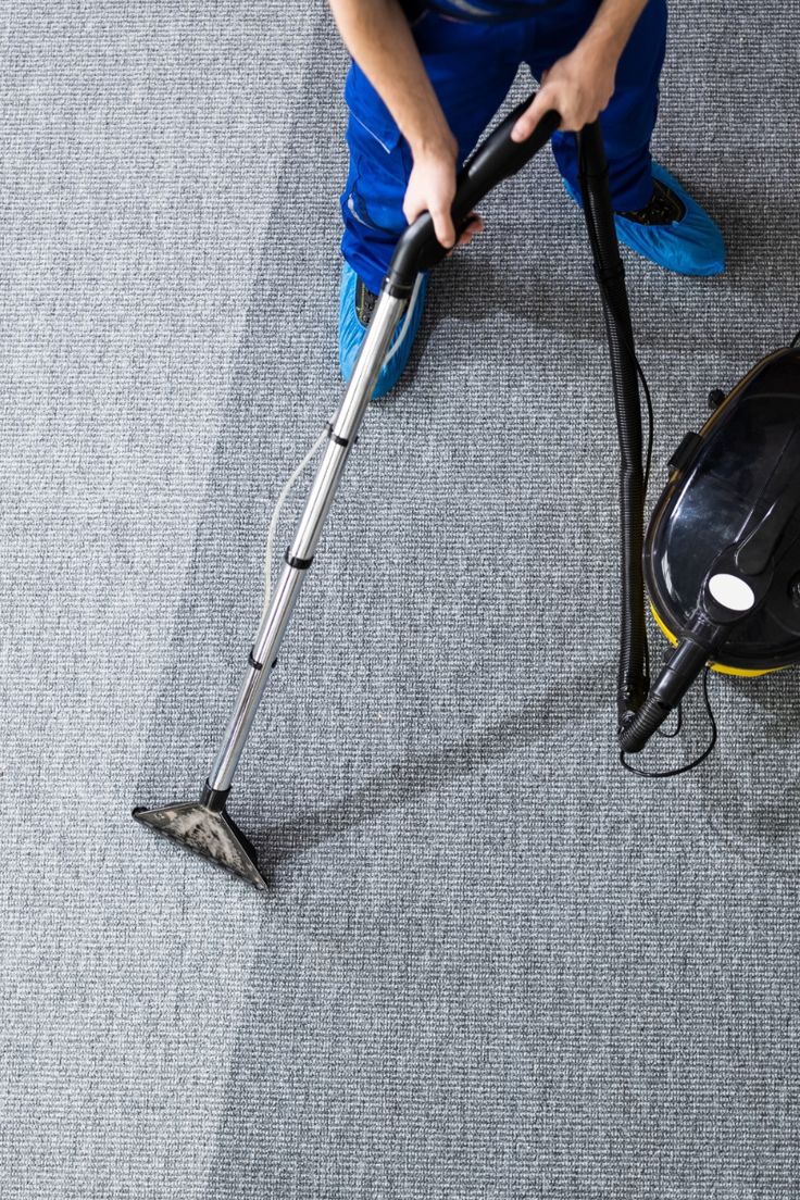 Professional carpet cleaning service